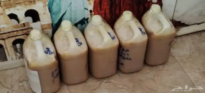 عسل سدر ملكي رقم واحد جديد من الموسم هذا 3