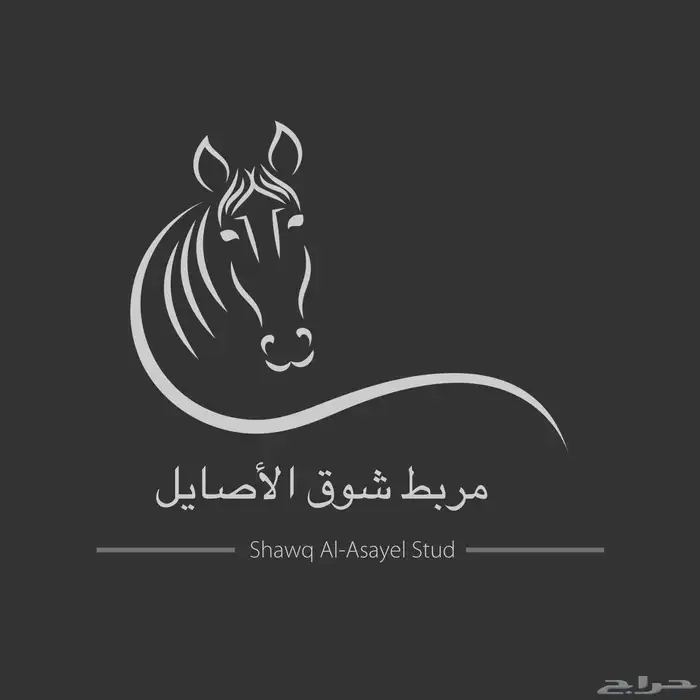 اسطبل شوق الاصايل إيواء650ريال متابعه يومي 0