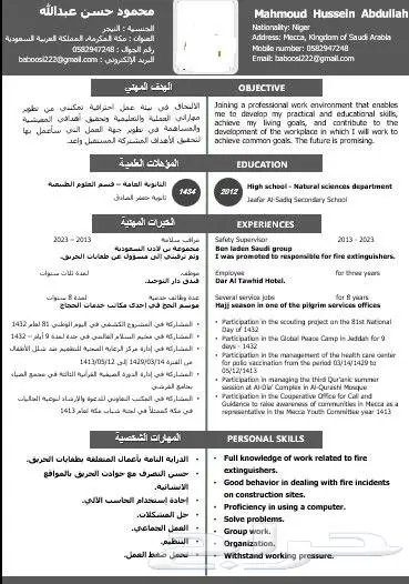 تصميم السيرة الذاتية CV او ATS CV باحترافية واقل تكلفة ووقت 8