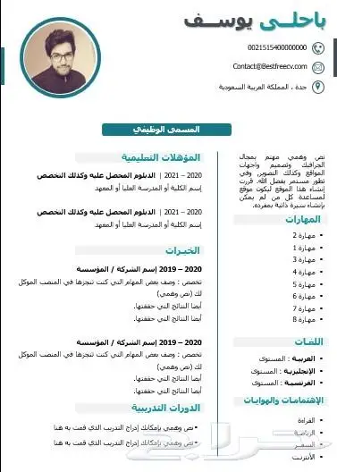تصميم السيرة الذاتية CV او ATS CV باحترافية واقل تكلفة ووقت 0