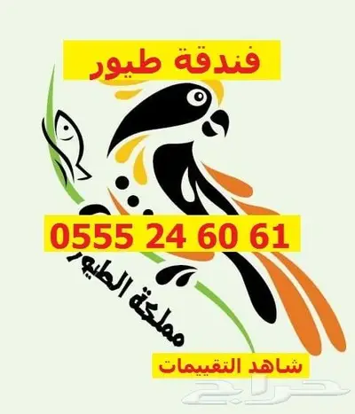 فندقة قطط وطيور 6061 24 0555 في اجازتك - حي المصيف 3