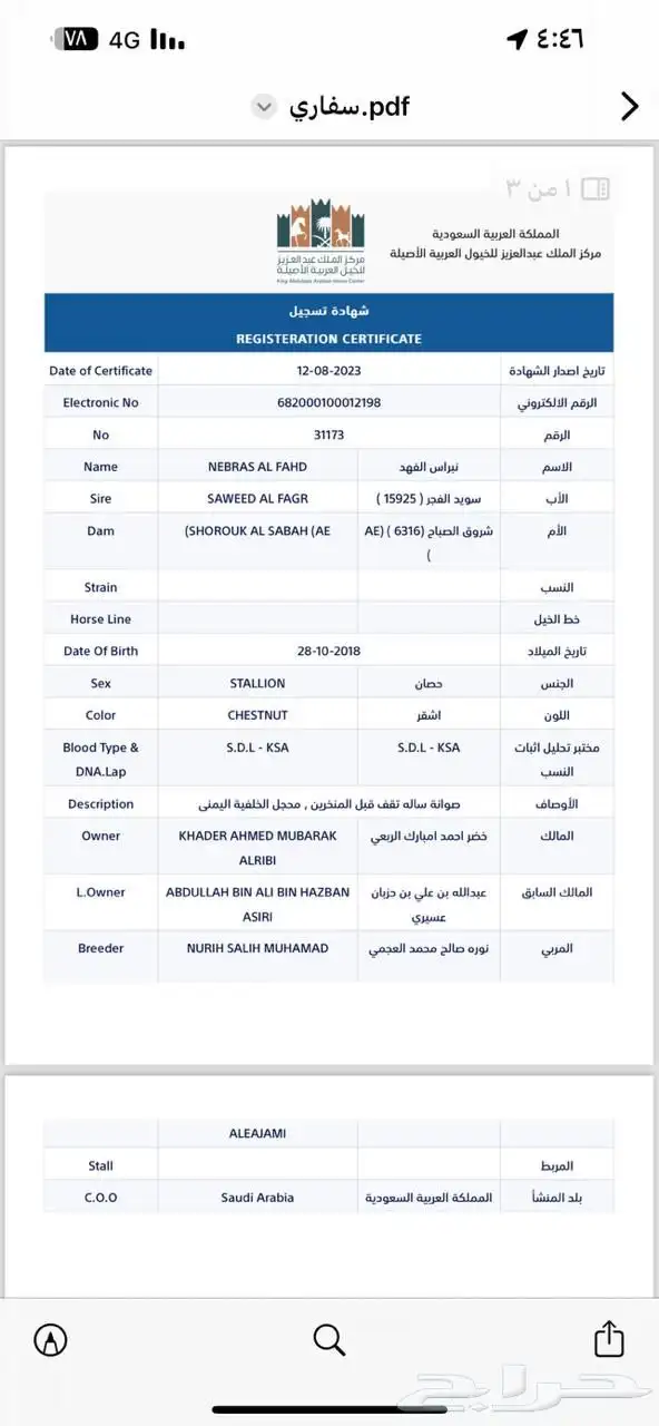 خيل 2