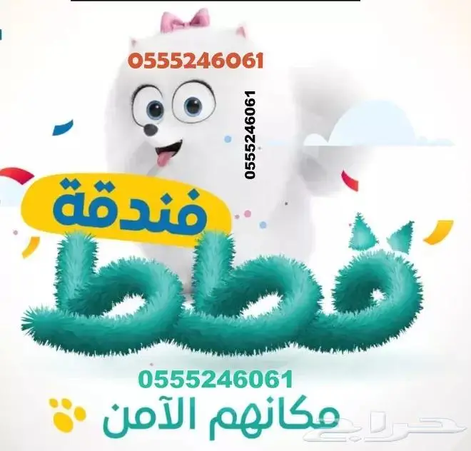 فندقة قطط وطيور في سفرك 6061 24 0555 شاهد التقييم 0