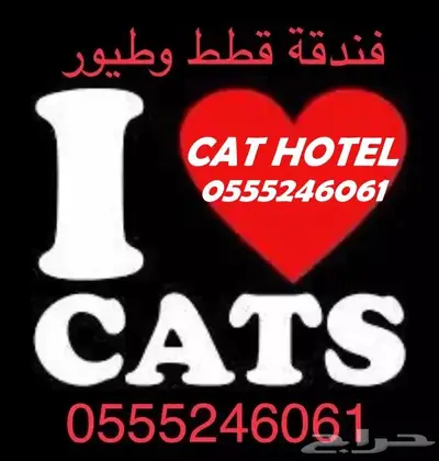 فندقة قطط وطيور 6061 24 0555 في اجازتك - حي المصيف 0