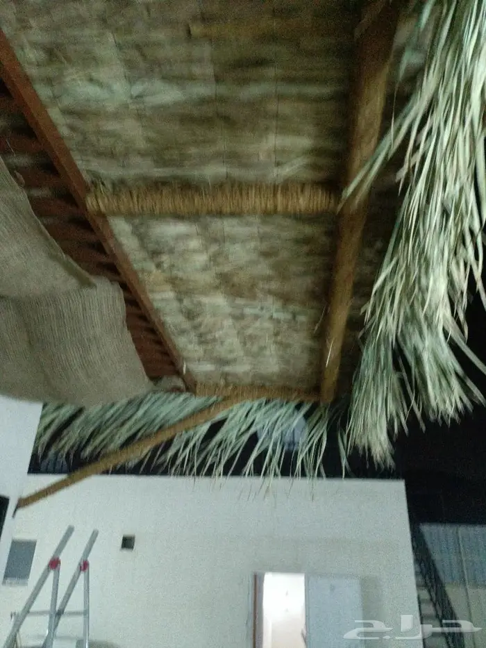 مظلات وسواتر وكراسى سعف النخيل 17