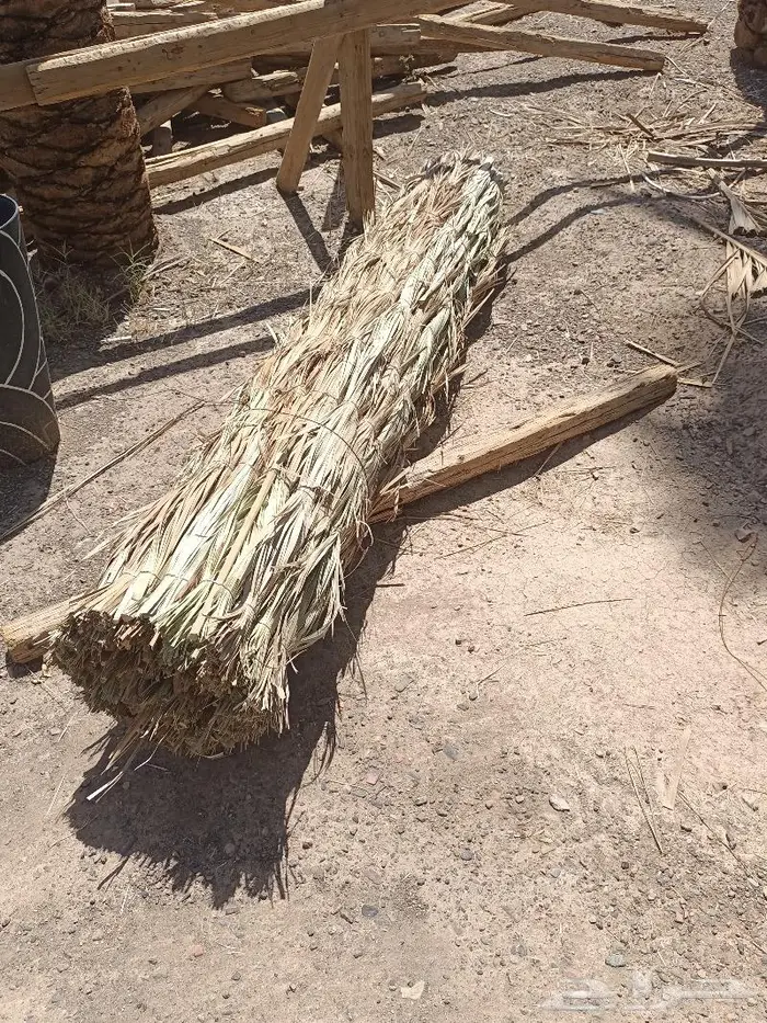 مظلات وسواتر وكراسى سعف النخيل 29