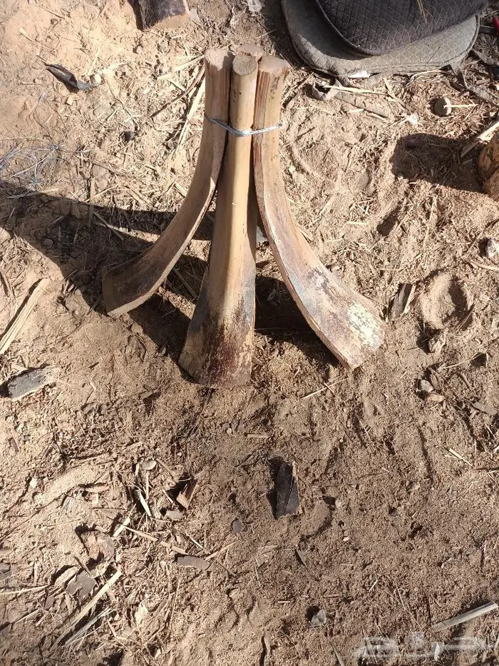 مظلات وسواتر وكراسى سعف النخيل 32