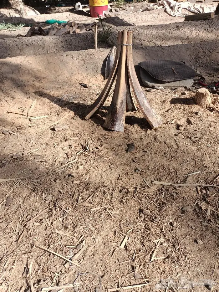 مظلات وسواتر وكراسى سعف النخيل 27