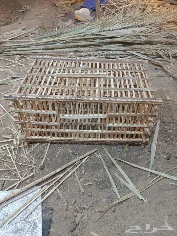 مظلات وسواتر وكراسى سعف النخيل 35