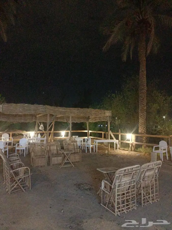 مظلات وسواتر وكراسى سعف النخيل 38