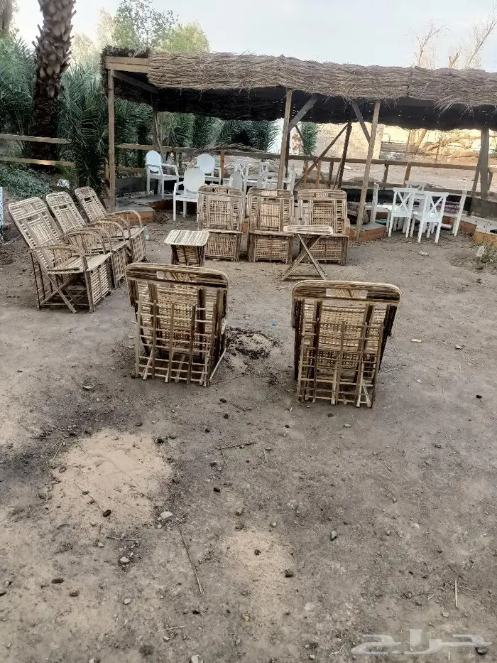 مظلات وسواتر وكراسى سعف النخيل 41