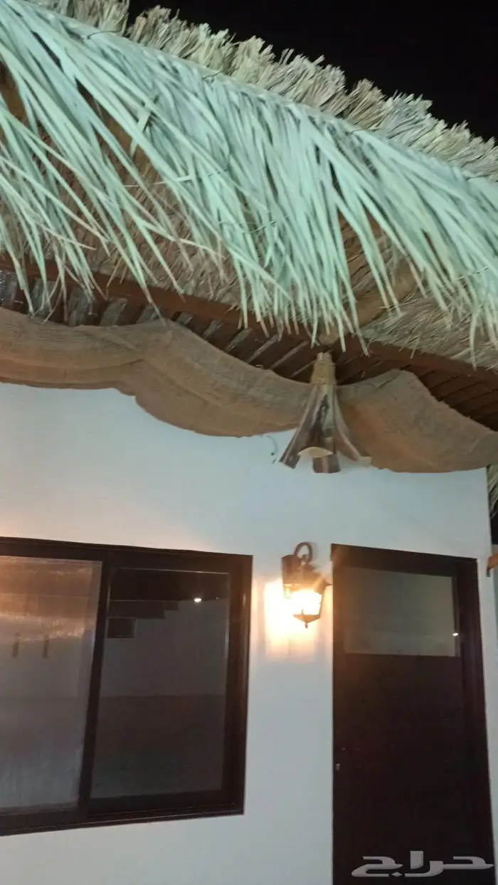 مظلات وسواتر وكراسى سعف النخيل 2