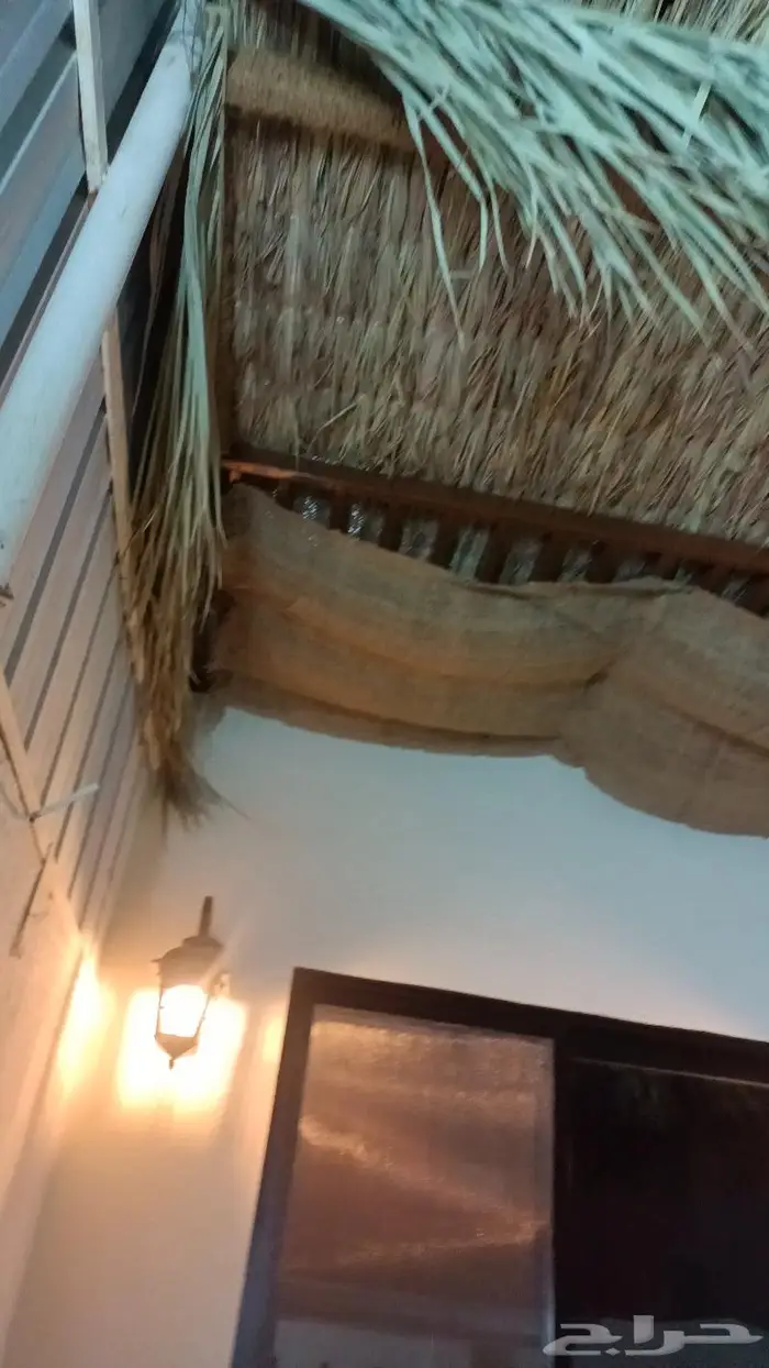 مظلات وسواتر وكراسى سعف النخيل 3