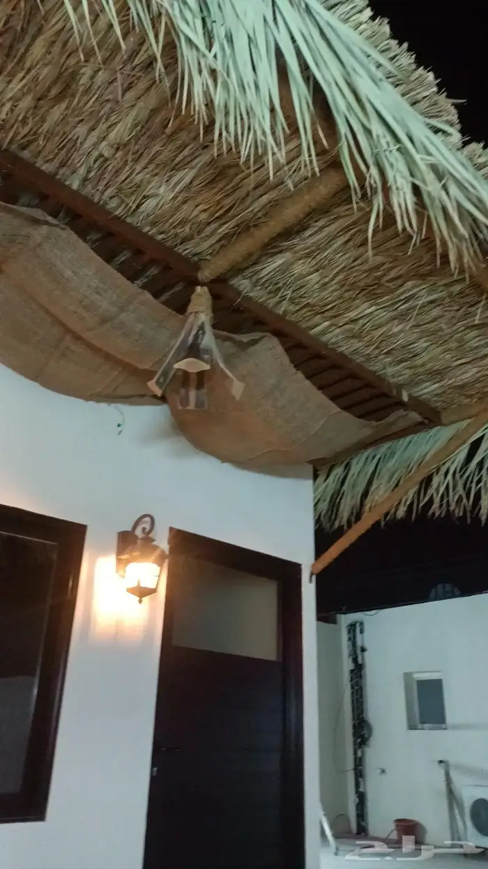 مظلات وسواتر وكراسى سعف النخيل 4