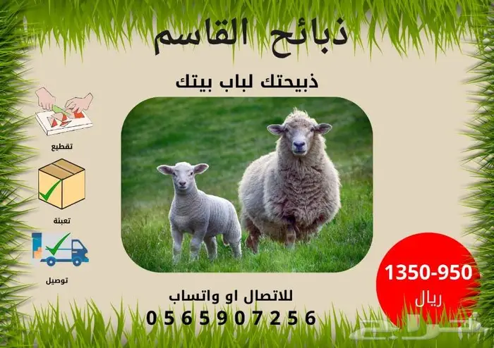 طليان سواكني مع خدمة الذبح والتوصيل لحد الباب 0