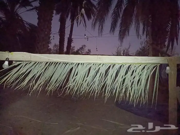 مظلات وسواتر وكراسى سعف النخيل 25