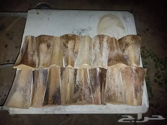 مظلات وسواتر وكراسى سعف النخيل 31