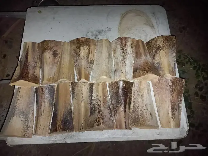 مظلات وسواتر وكراسى سعف النخيل 28