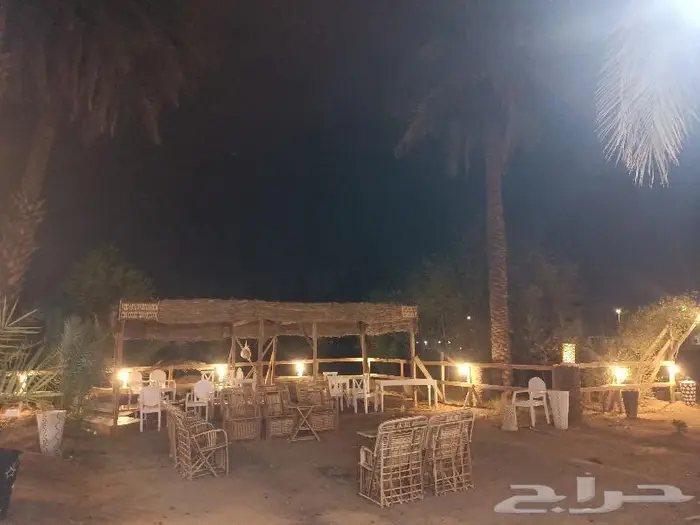 مظلات وسواتر وكراسى سعف النخيل 37