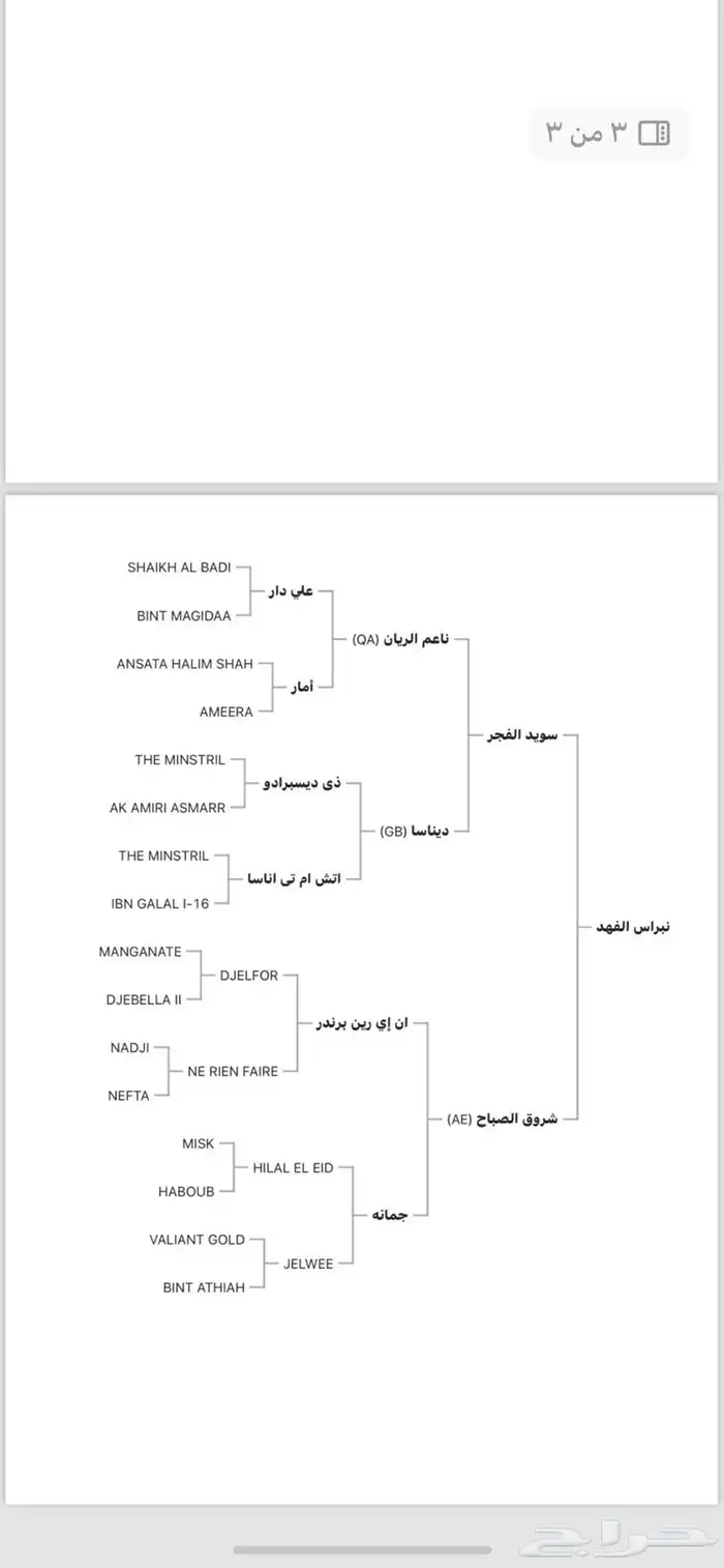حصان عربي 2