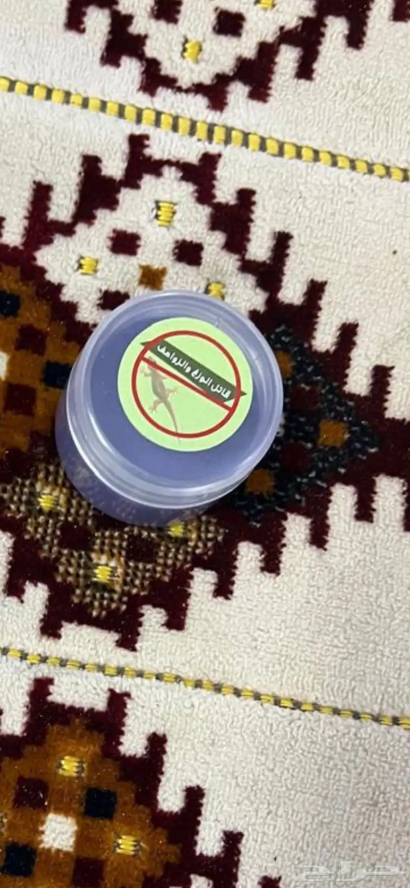 قاتل الوزغ 1