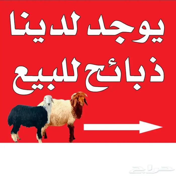 للبيع نواع ذبائح البريه 0
