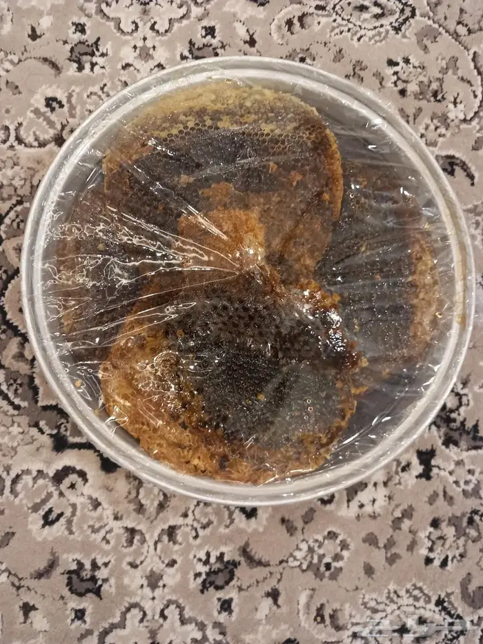 عسل من تهامة عسير محصل هسنه 1