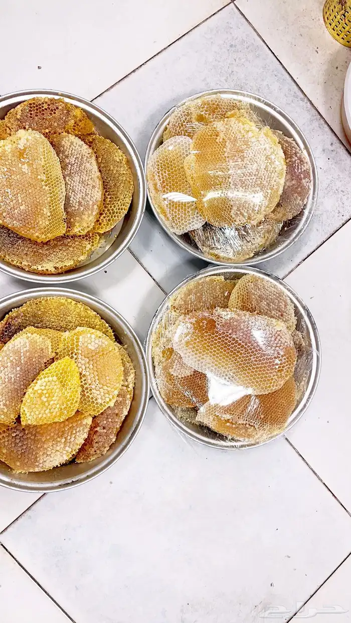 العسل البلدي الطلح الصهاينه السدر السمره القاعدة وغيرها 10