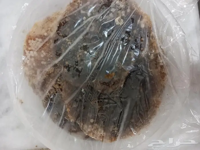 عسل من تهامة عسير محصل هسنه 3
