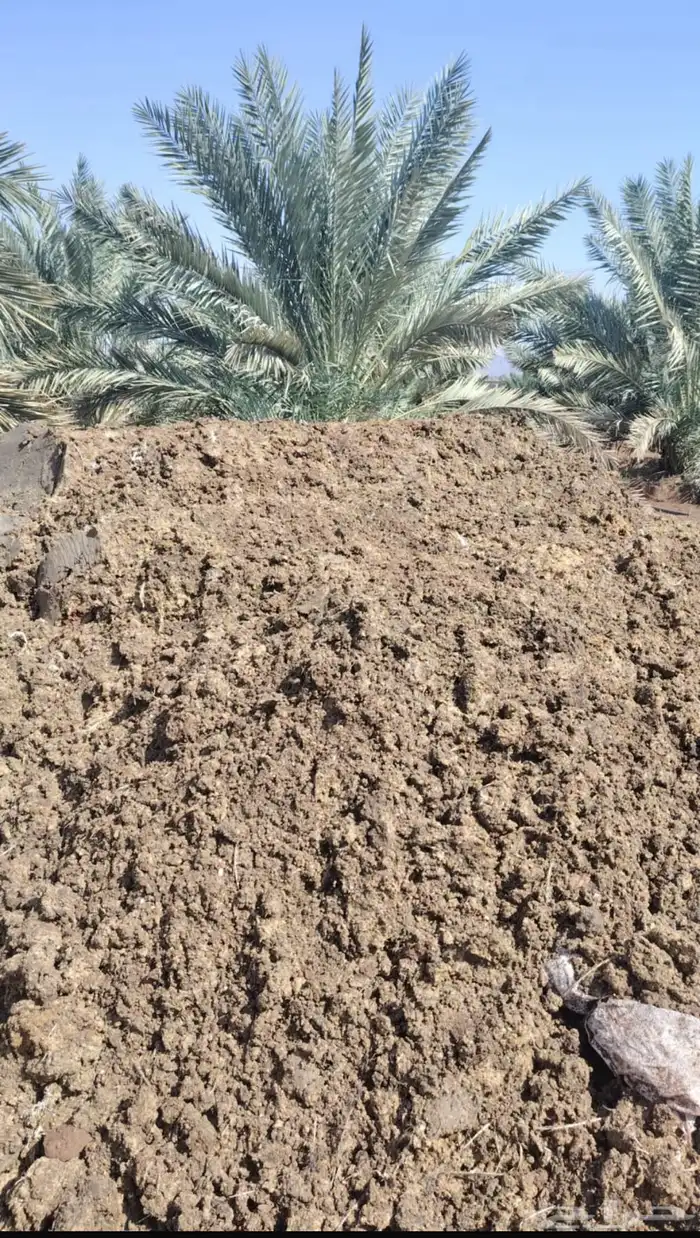 سماد دجاج بياض 0