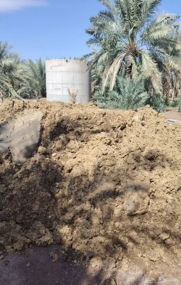 سماد دجاج بياض 1