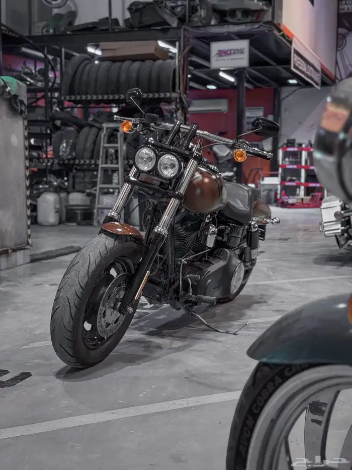 هارلي فاتبوب Harley Davidson FatBob 2017 9
