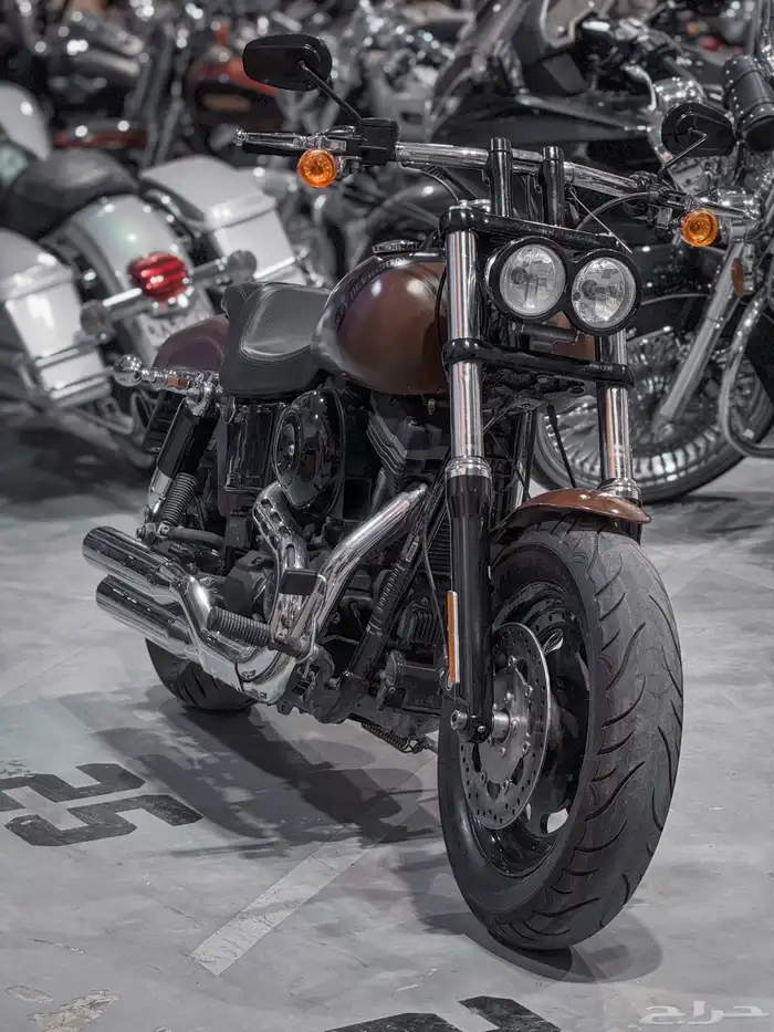 هارلي فاتبوب Harley Davidson FatBob 2017 10