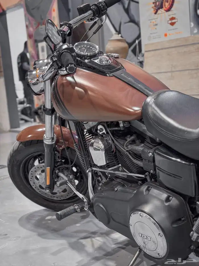 هارلي فاتبوب Harley Davidson FatBob 2017 4