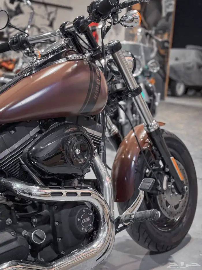 هارلي فاتبوب Harley Davidson FatBob 2017 1