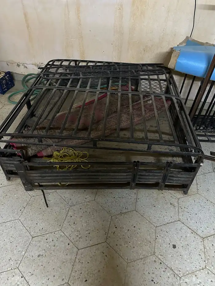 شد طابقين يركب ع زيزو دبل 2019 0