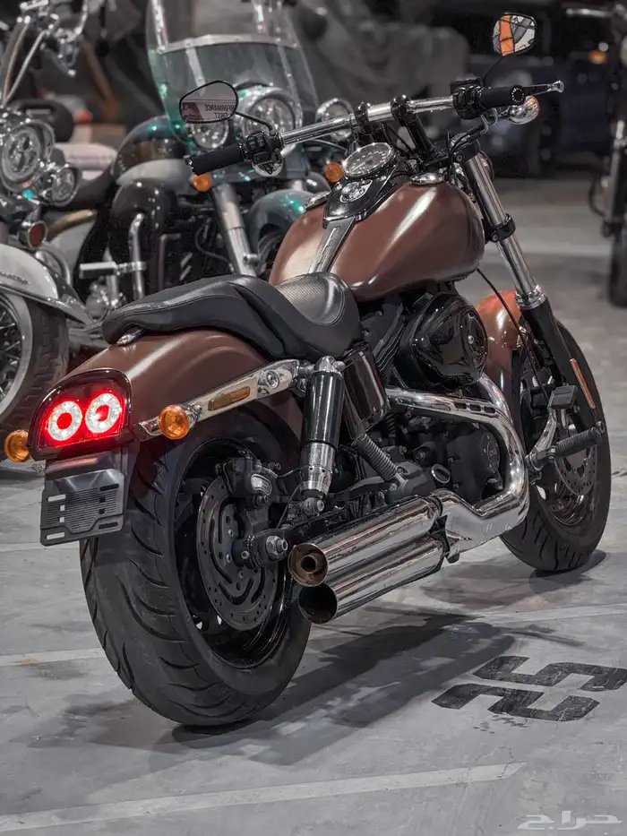 هارلي فاتبوب Harley Davidson FatBob 2017 2