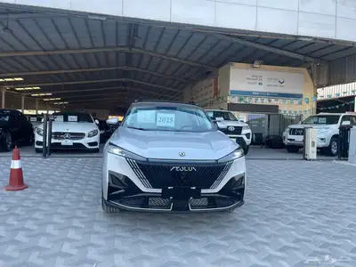 دونج فونج 2025 MAGE 320T 1