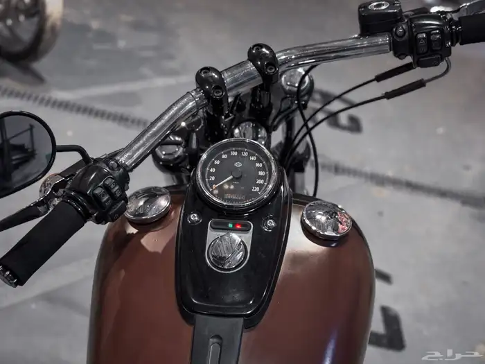هارلي فاتبوب Harley Davidson FatBob 2017 6