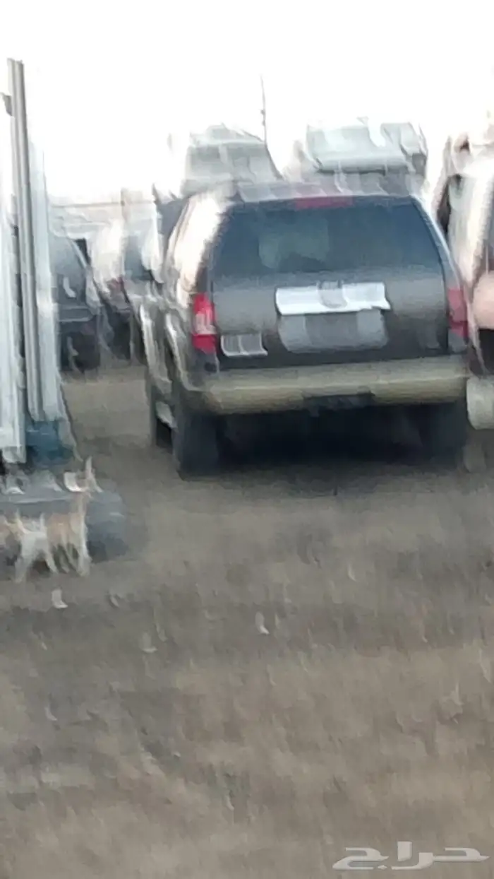 بليزرات جمس فورد 5
