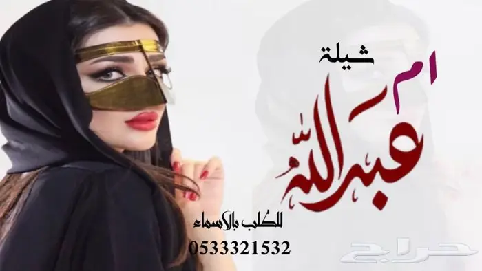 منشد شيلات شاعر جزل 0