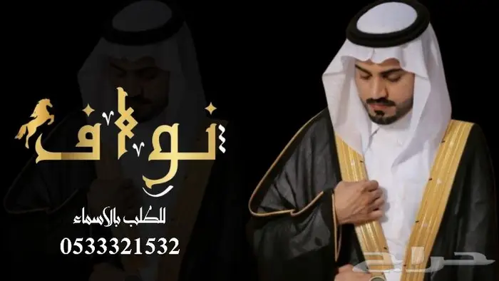 منشد شيلات شاعر جزل 0