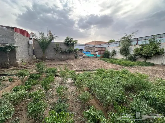 للبيع استراحات بحي الصناعية 8