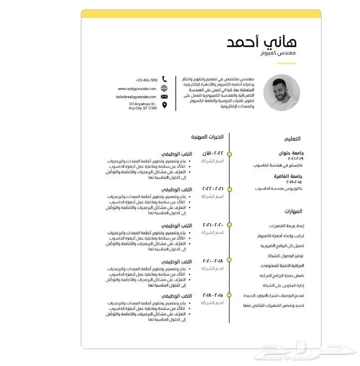 سيرة ذاتية ثنائية اللغة متوافقة ATS 0