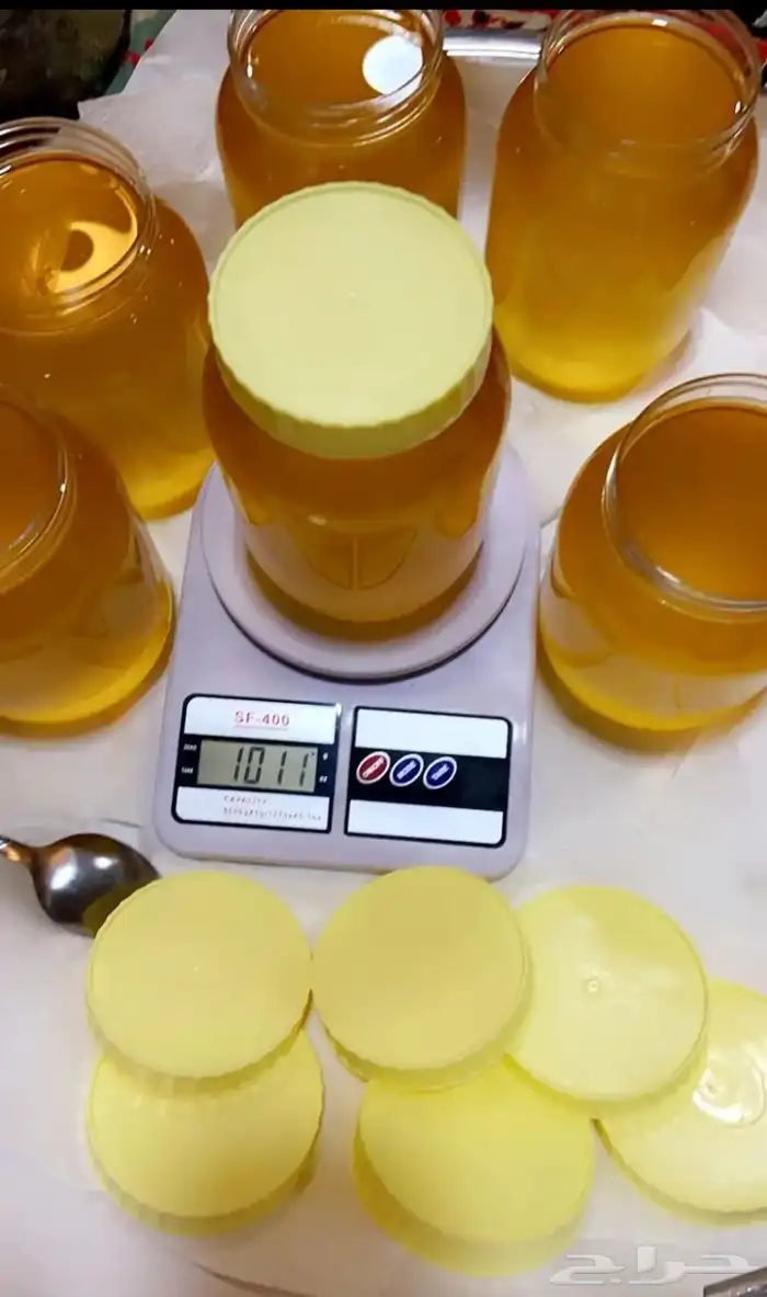 سمن بقر مضمون 2