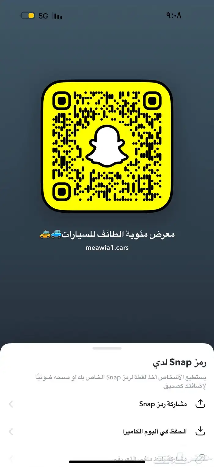 تورس 2010 ستاندر 24