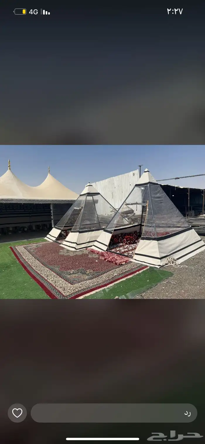 بيوت شعر الون البيض وا الون السود 11