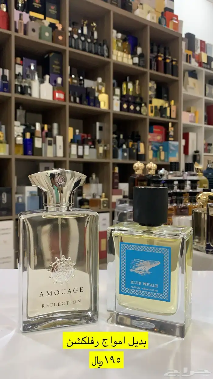 عطور المكافح السعودي 65