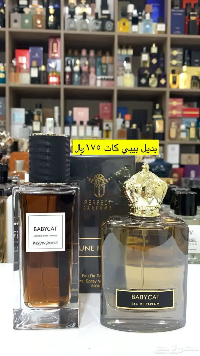 عطور المكافح السعودي 38