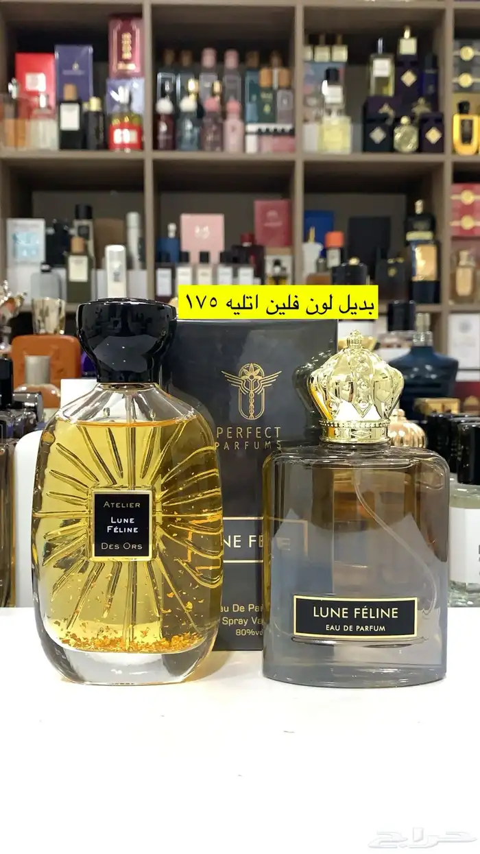 عطور المكافح السعودي 39